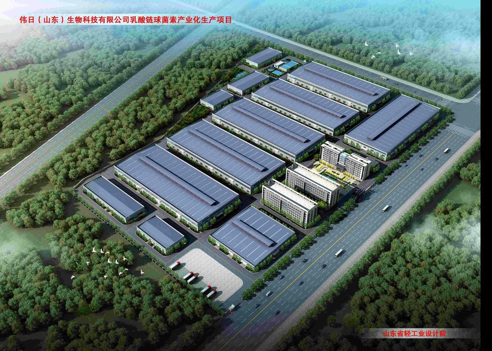 14058S偉日（山東）生物科技乳酸鏈球菌素產業(yè)化項目(1)